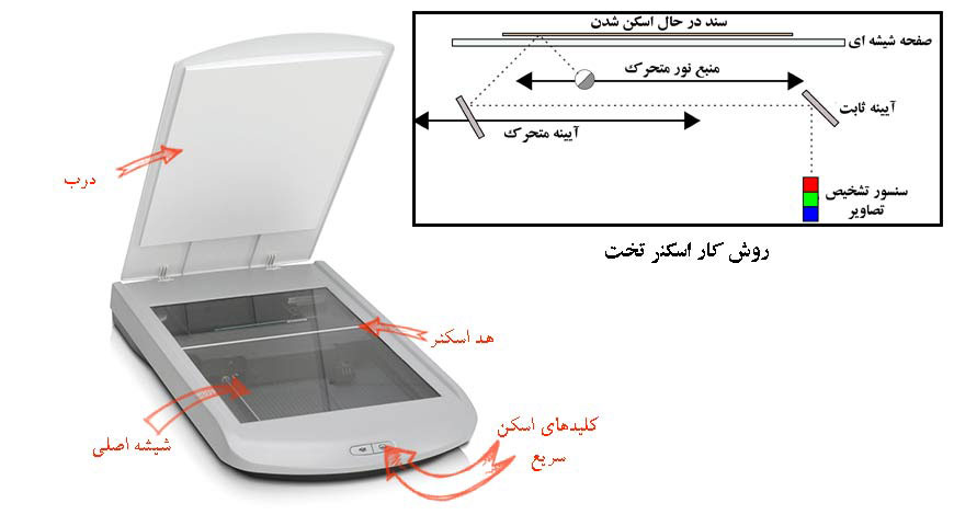 flatbed-scanner-Performance